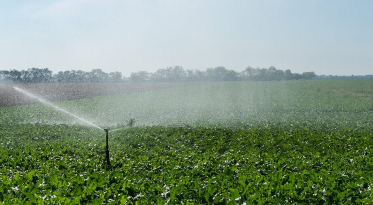 Modernes Wassermanagement: Von anderen Ländern lernen