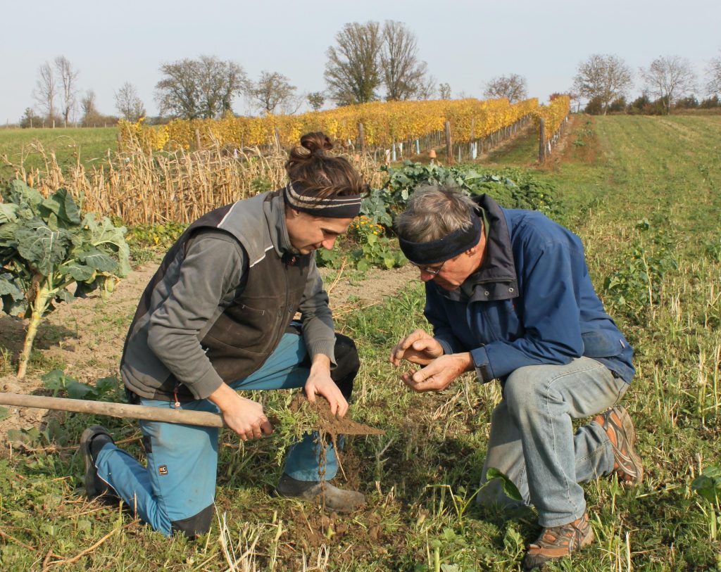 Perspektive Landwirtschaft