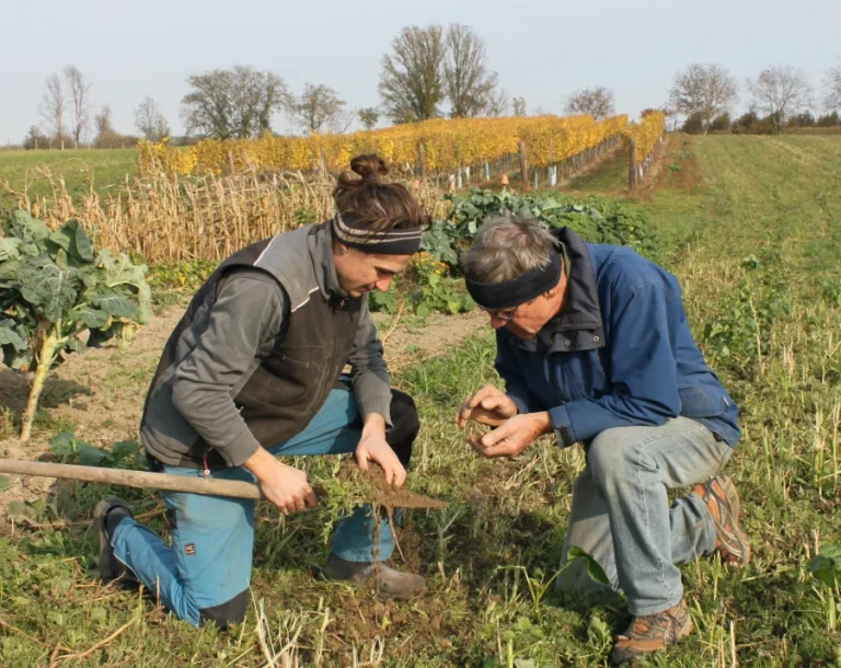 Perspektive Landwirtschaft