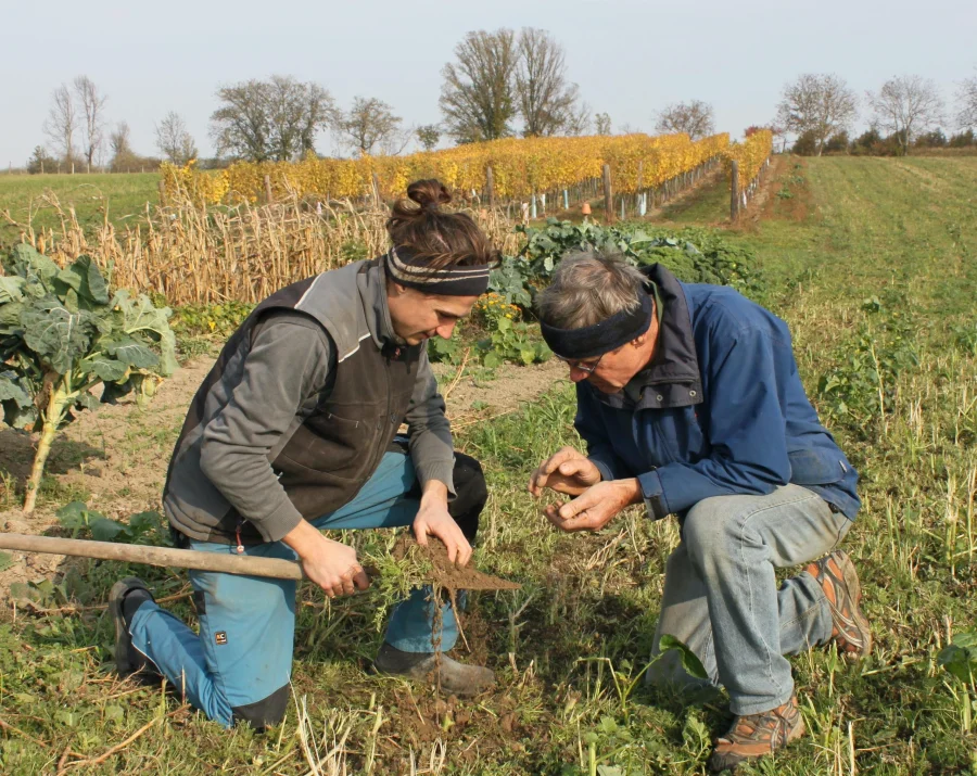 Perspektive Landwirtschaft