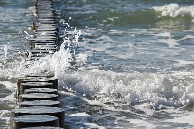Landwirtschaft und Ostsee-Belastung: 6.000 Tonnen Stickstoff jährlich im Fokus - Ostsee algae bloom agriculture
