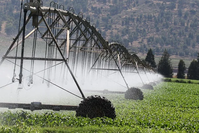 Roboter in der Landwirtschaft: Hightech-Lösungen gegen zunehmende Trockenheit - robot irrigation field