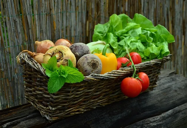 Steigende Nachfrage nach heimischem Gemüse stärkt regionale Produktion - austrian vegetable farm