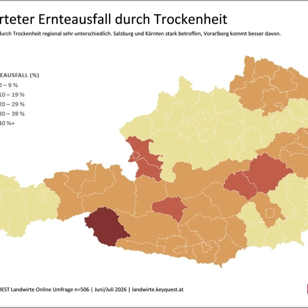 93 % der heimischen Landwirte erwarten Ernteverluste durch Trockenheit – im Schnitt 20 Prozent weniger Ertrag