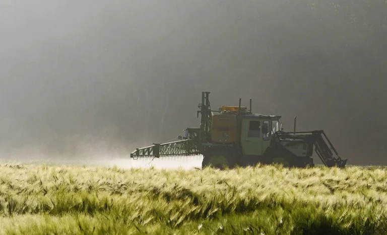 Ackerbau und Artenvielfalt: Wie Landwirte Bienen und Blumen fördern