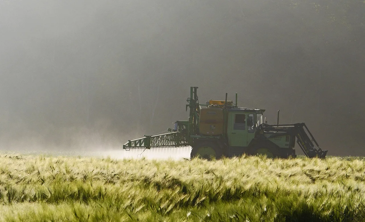 Ackerbau und Artenvielfalt: Wie Landwirte Bienen und Blumen fördern - blühstreifen getreidefeld