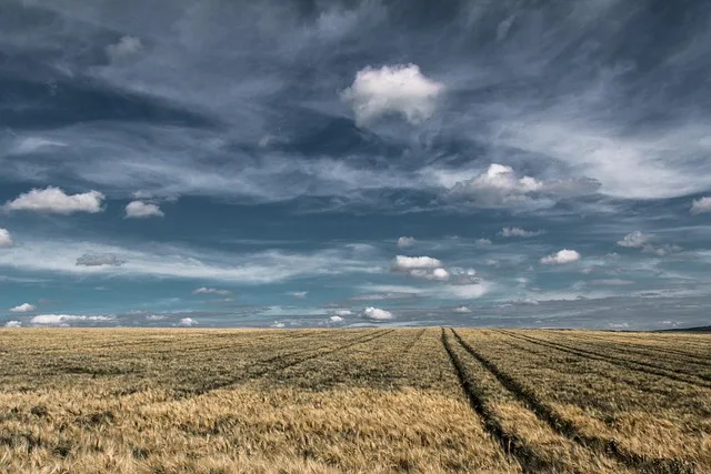 Extremwetter zwingt Landwirtschaft zu grundlegender Anpassung - extreme weather agriculture