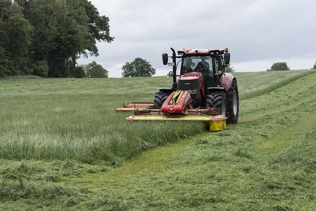 Futterknappheit in Oberösterreich: Bauern zwischen Trockenheit und steigenden Kosten - drought fodder shortage farmers Austria