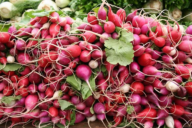 Hofläden als Bollwerk: Wie Landwirte der Supermarkt-Macht trotzen - farm shop