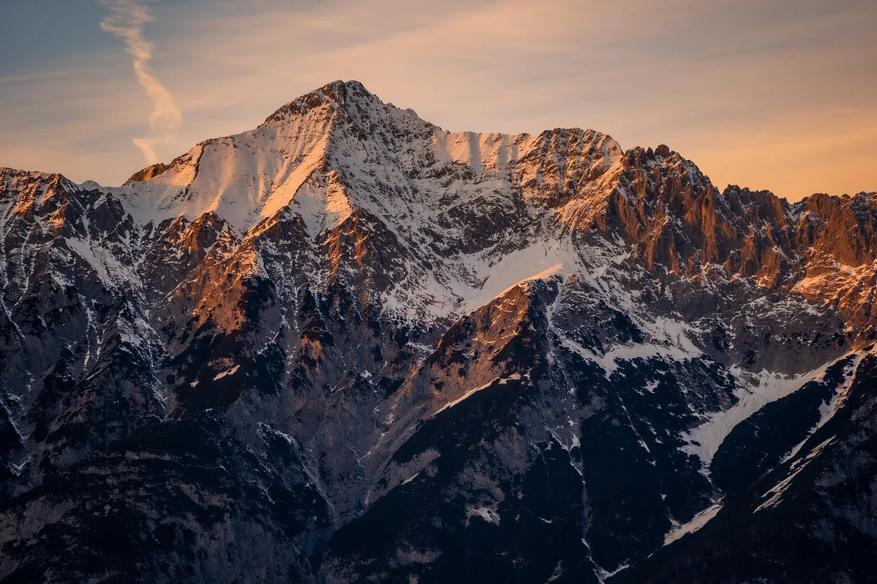 Italienischer Tierschutzverein fordert EU-Untersuchung nach Wolfsabschuss in Tirol - wolf tyrol gps collar