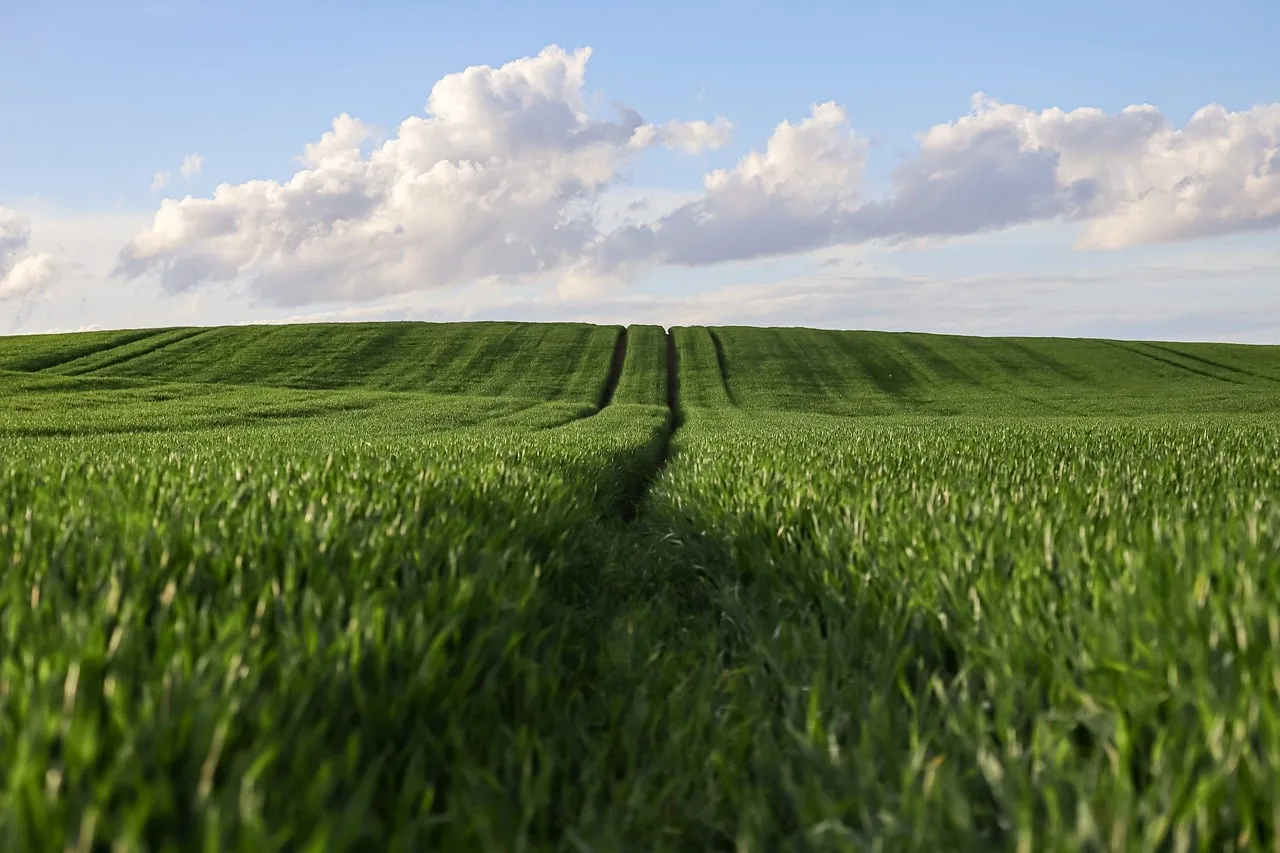 Landwirtschaftliche Einkommen 2025: Deutlicher Anstieg trotz struktureller Herausforderungen - austrian farmer income