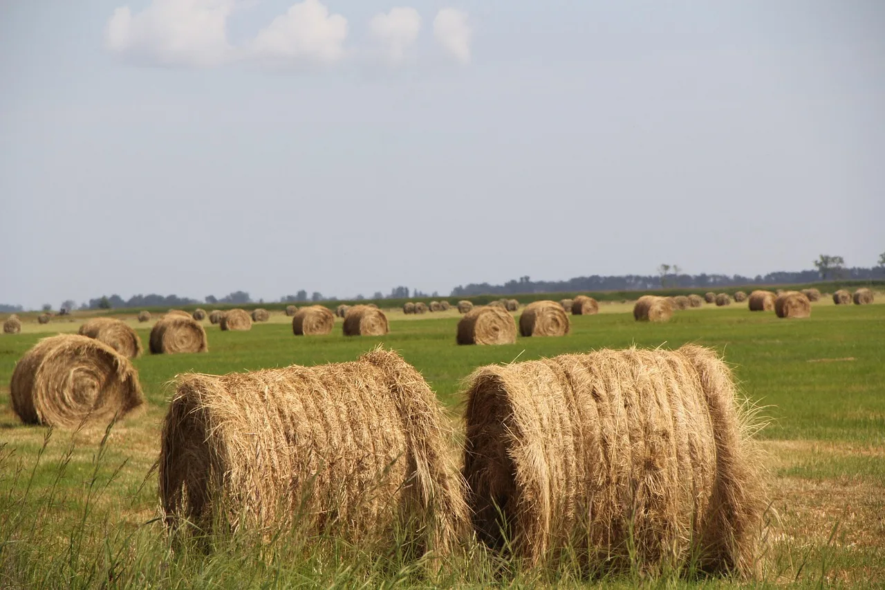ÖBB-Züge fahren künftig mit Strom aus Agri-Photovoltaik - agri photovoltaic