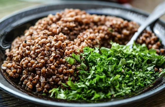 Pflanzenbasierte Ernährung: Studie zeigt Potenzial zur Entlastung der Umwelt - plant based diet