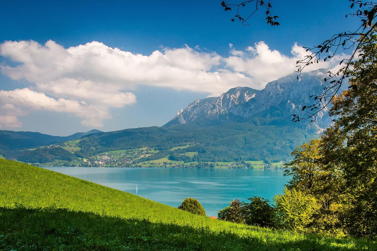 Quaggamuschel im Attersee: Badegäste und Fischer leiden unter invasiver Art - quagga mussel attersee