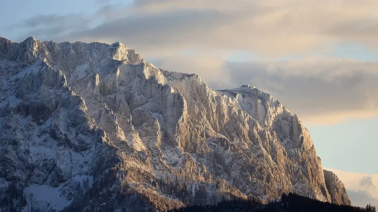 Trockenheit setzt Wäldern in Oberösterreich zu: Borkenkäfergefahr steigt