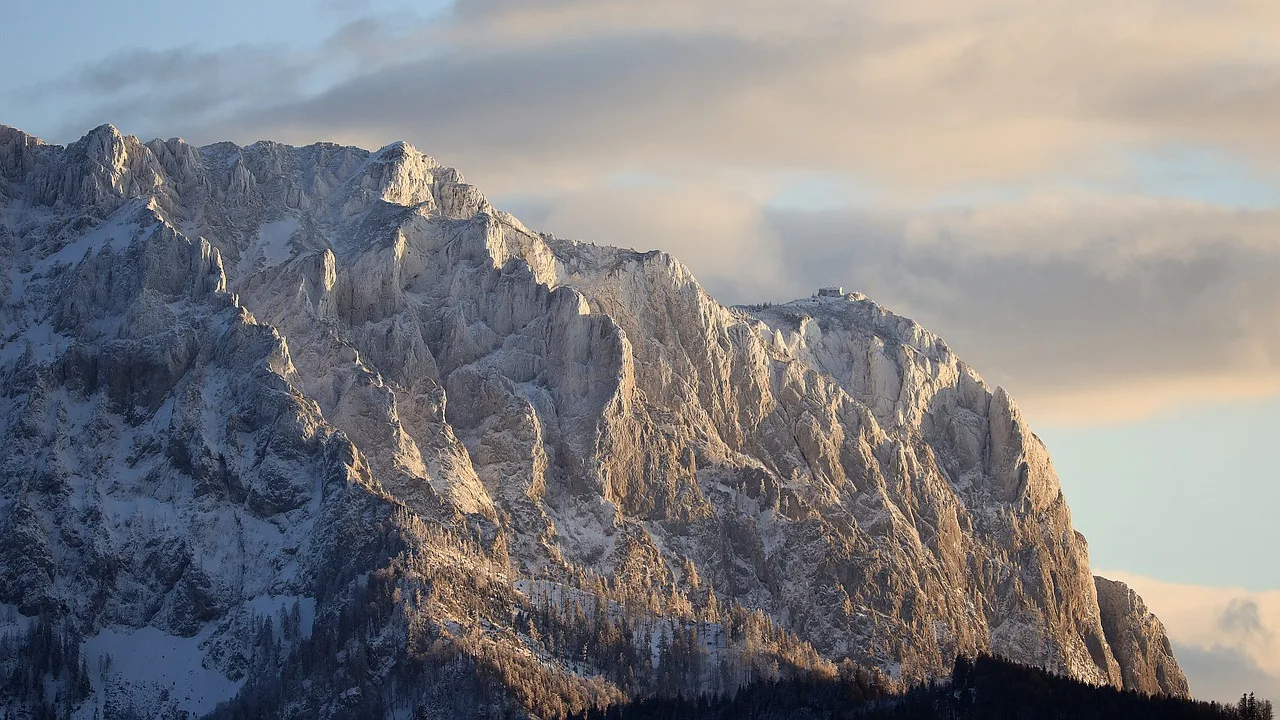 Trockenheit setzt Wäldern in Oberösterreich zu: Borkenkäfergefahr steigt - dry forest Austria