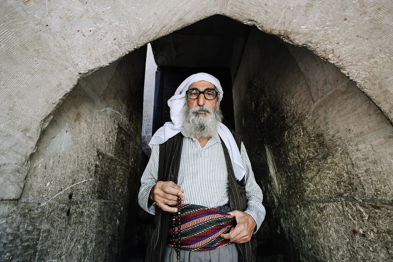 Türkische Agrarproduktion erreicht historischen Höchststand - turkish agriculture field