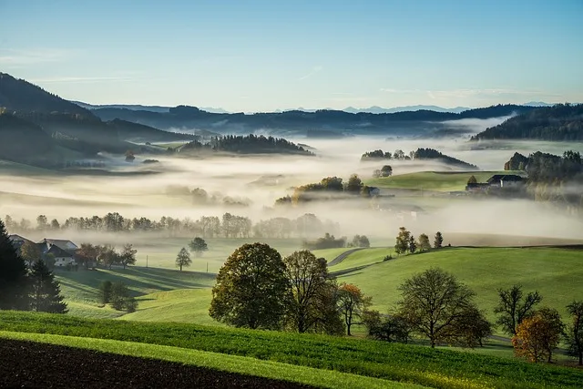 Urlaub am Bauernhof: Erfolgsmodell mit Zukunftspotenzial für die Landwirtschaft - farm holiday Austria