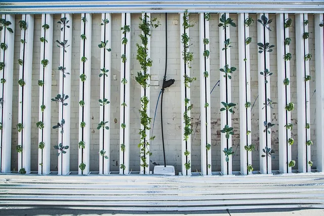 Vertical Farming in Tokio: Vollautomatisierte Produktion als Modell für urbane Landwirtschaft - vertical farm Tokyo