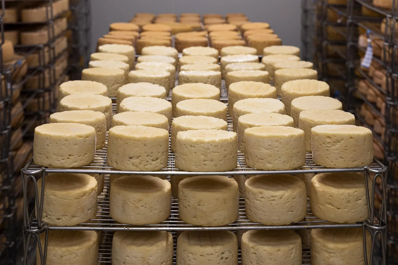 Crazy-Cheese-Insolvenz: Käse, Inventar und Firmensitz in Hart bei Graz werden versteigert - cheese auction