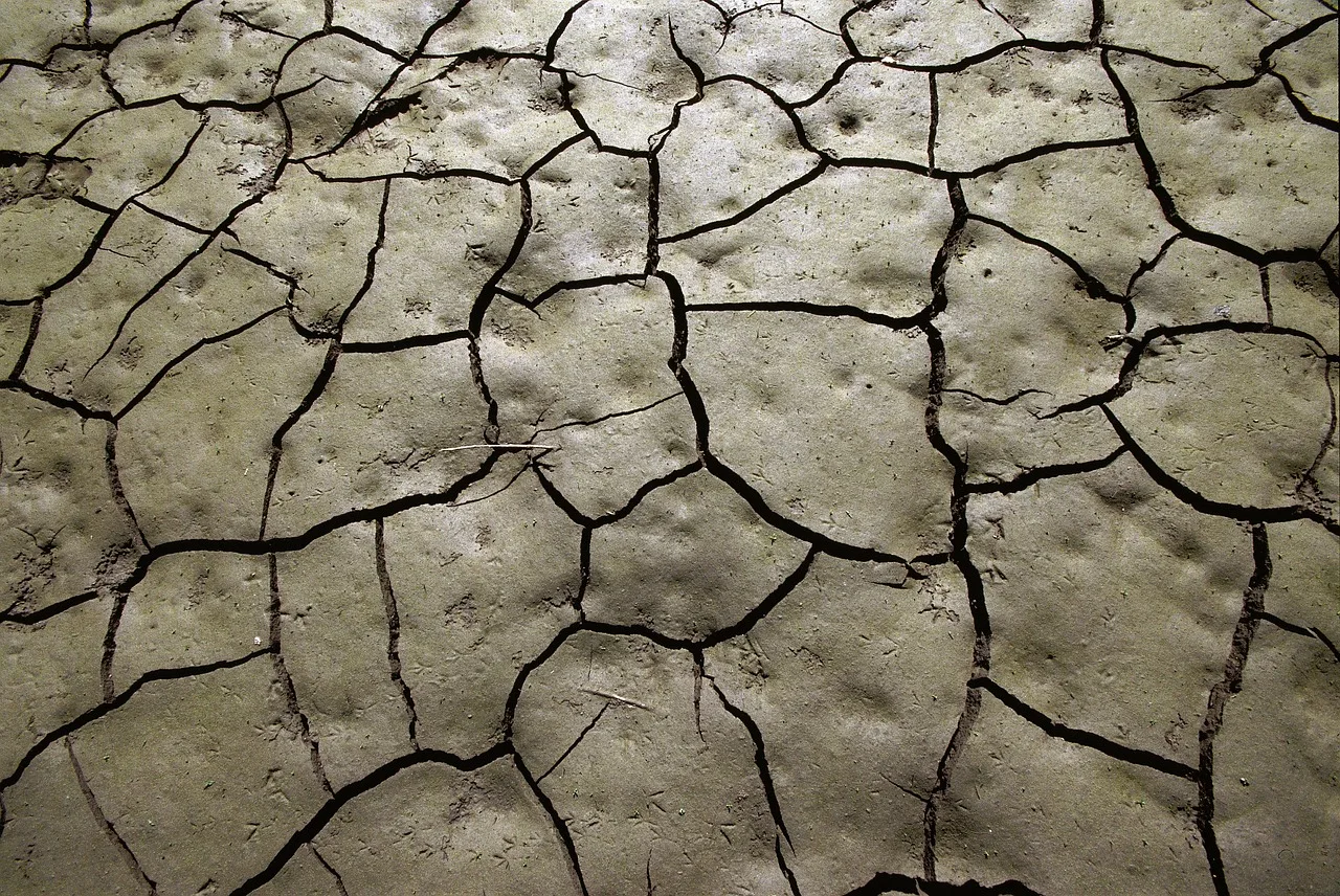 Dürre verändert Böden langfristig: Forscher warnen vor Folgen für die Landwirtschaft - dry cracked soil field