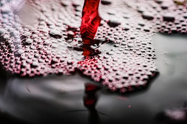 Krisen-Destillation in Österreich: ÖWV-Präsidium fordert Rotwein-Entlastung - red wine surplus