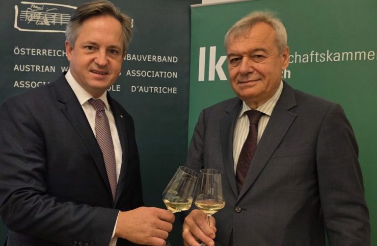 Wein: Frühe Lese, vielversprechende Qualität