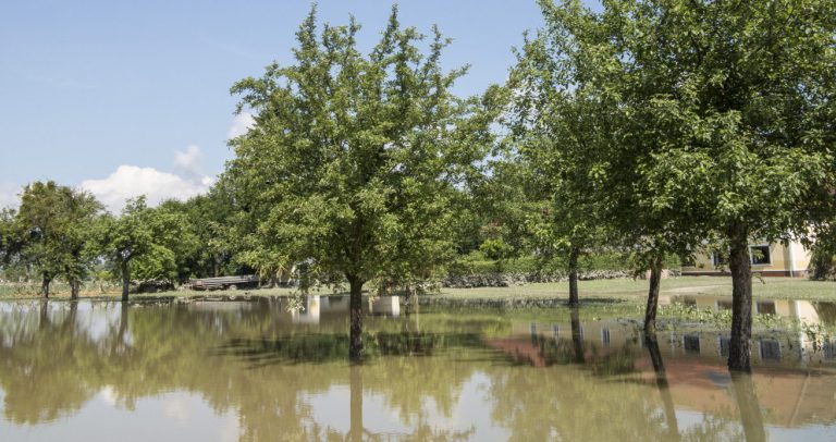 Hochwasserschutz neu denken
