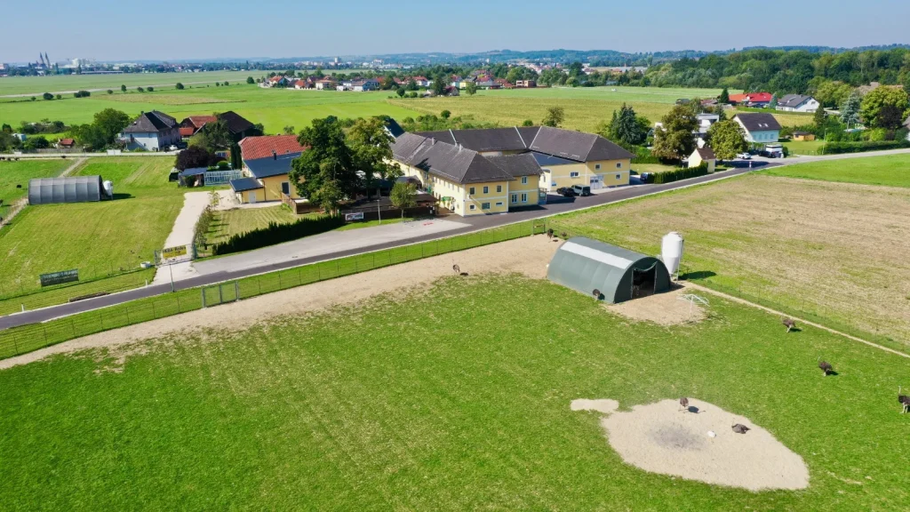 Wie aus drei Straußen ein Betriebszweig wurde