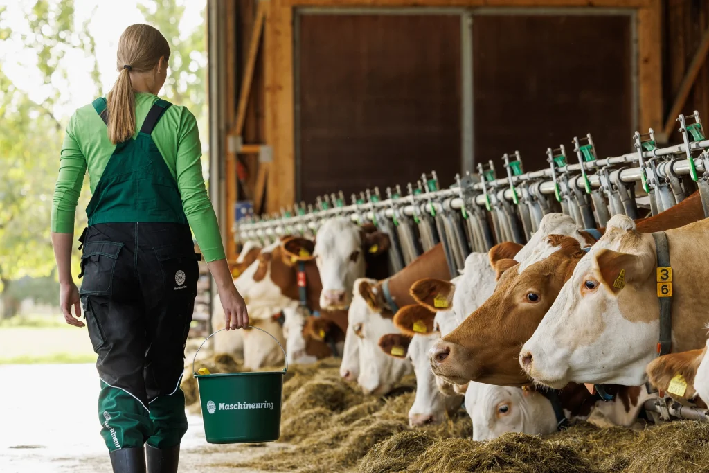Futterkrise: Maschinenring bringt Hilfe ins Rollen