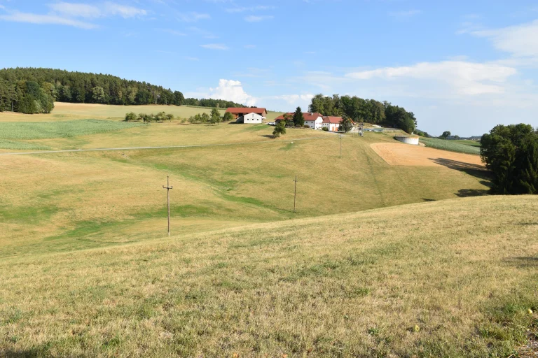 Dürrehilfe 2026: Betriebsmittelkredite zur Sicherung der Liquidität