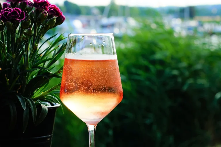 Spritzer nur mit österreichischem Wein: Weinbau fordert gesetzliche Regelung