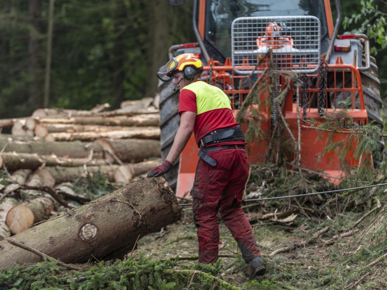 Holzpreis bleibt am Boden